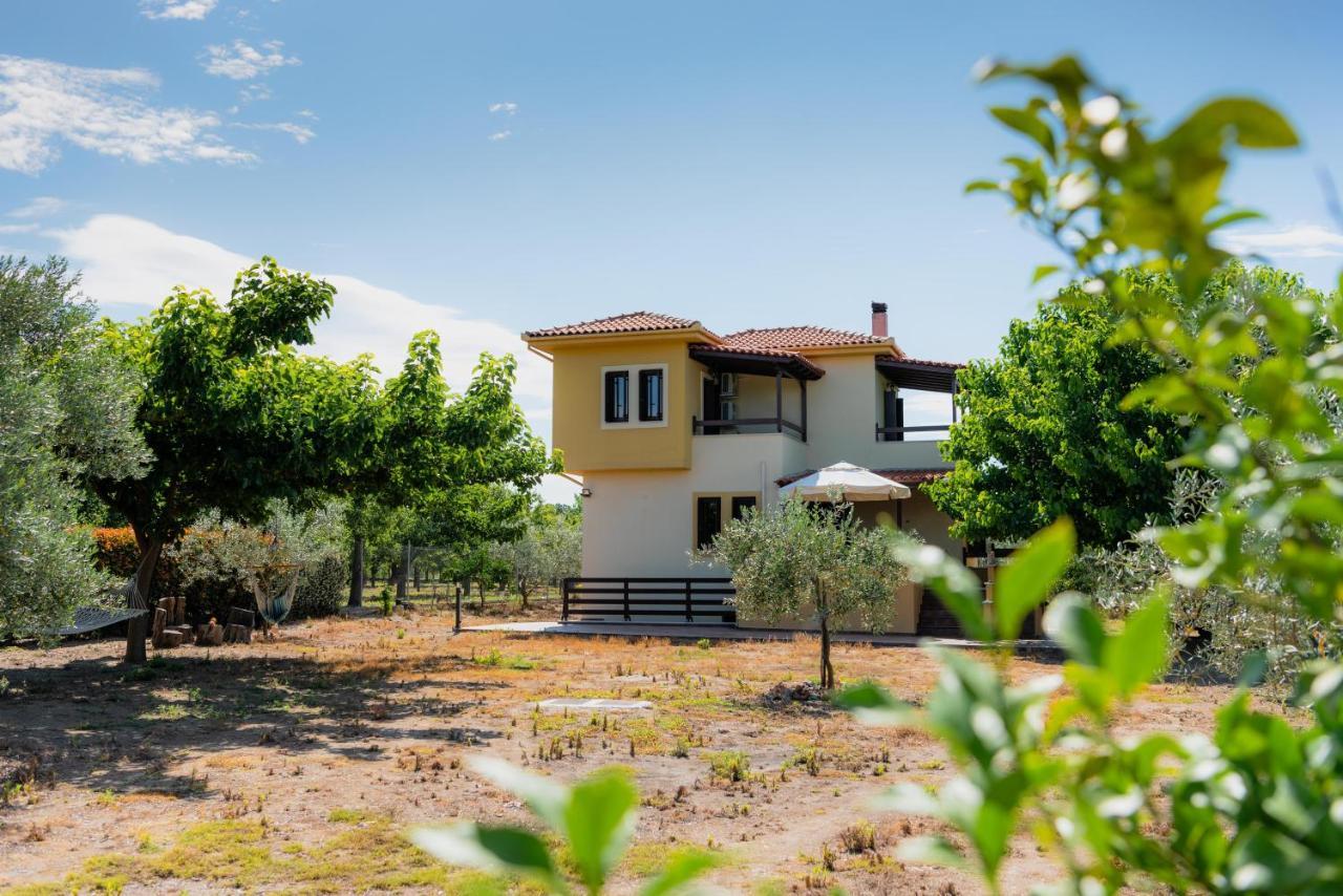 Karavos Grove Villa Káto Lekhónia Eksteriør bilde