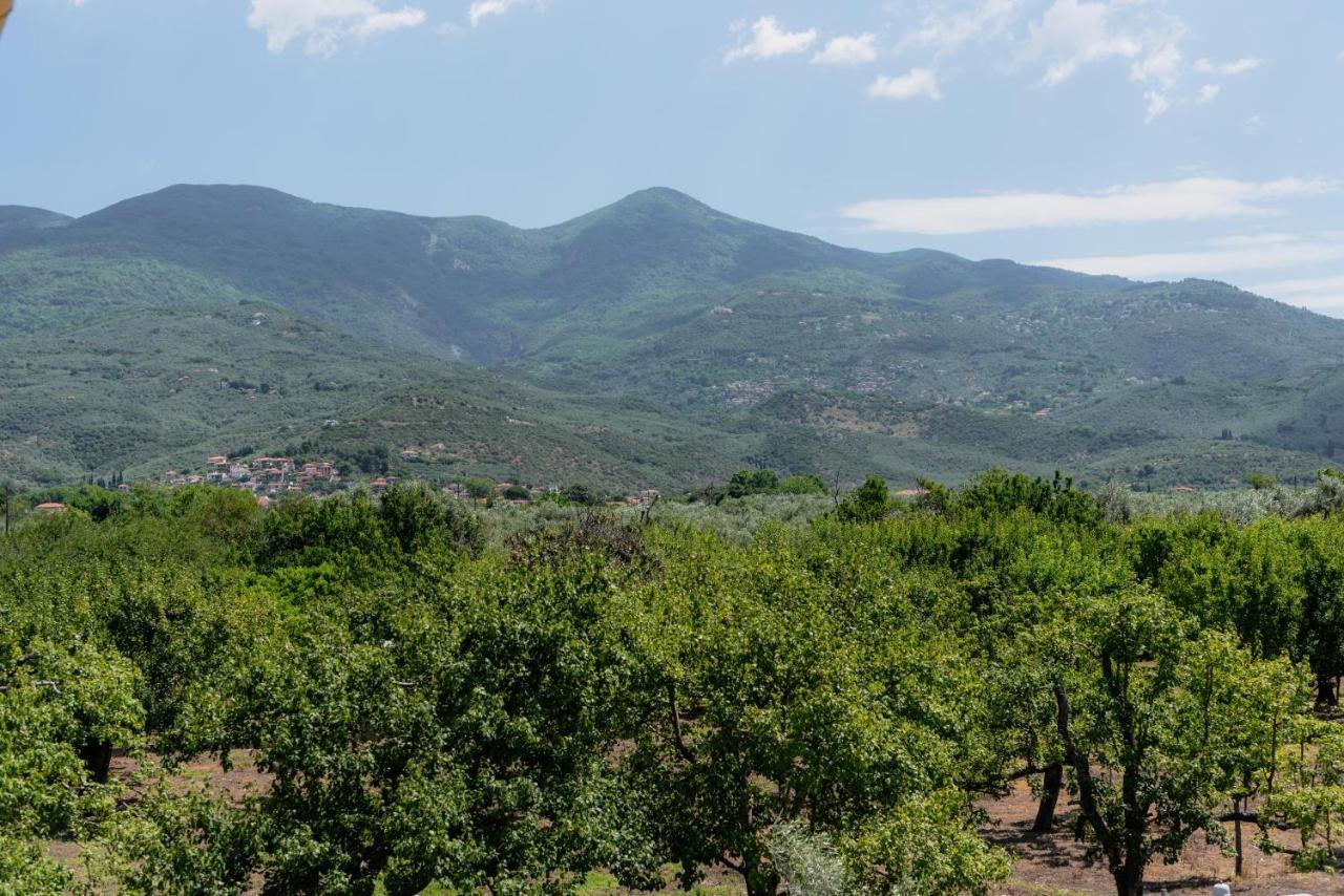 Karavos Grove Villa Káto Lekhónia Eksteriør bilde